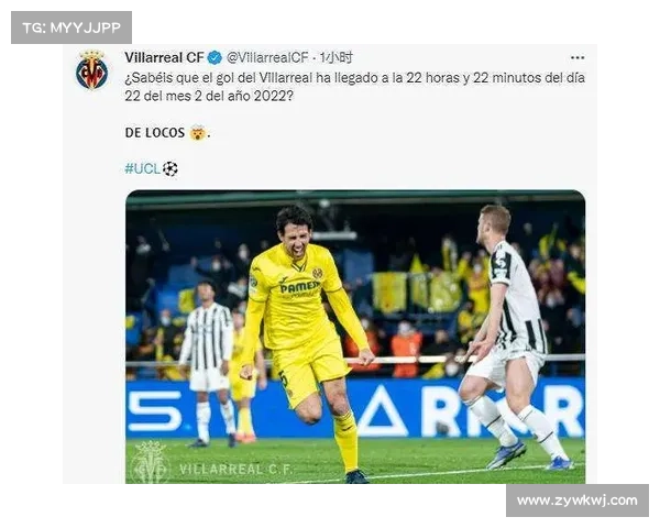 巴舒亚伊语种深度解析及其文化背景与全球影响力揭秘